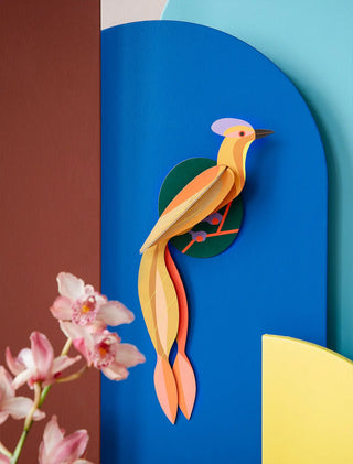 3D Olango Paradise Bird Wall Art shopwheninroam