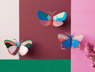 Lily Butterfly 3D Wall Art shopwheninroam