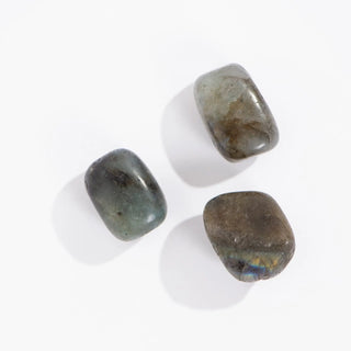 Tumbled Labradorite Geo Central